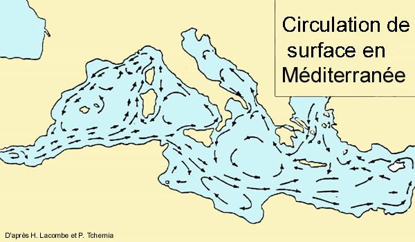 schéma des courants de surface en Méditerranée